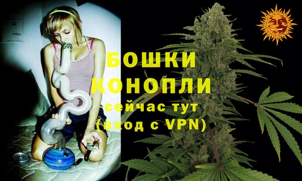 ГАЛЛЮЦИНОГЕННЫЕ ГРИБЫ Магас
