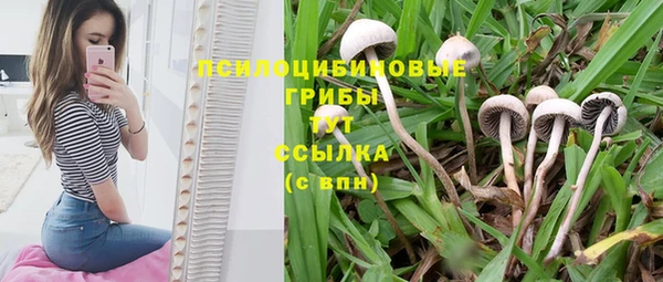 герыч Магадан