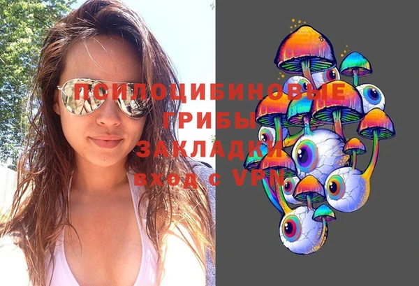 spice Лихославль